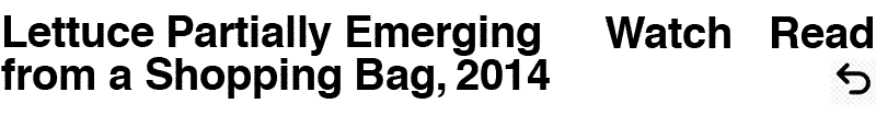 Lettuce partially emerging rom a shopping bag, 2014