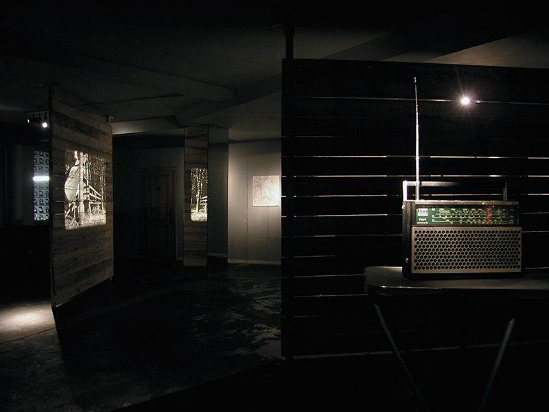 installation view