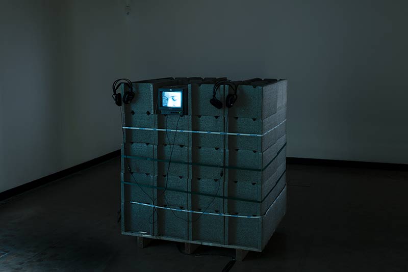 Installation view Kunsthalle Wien